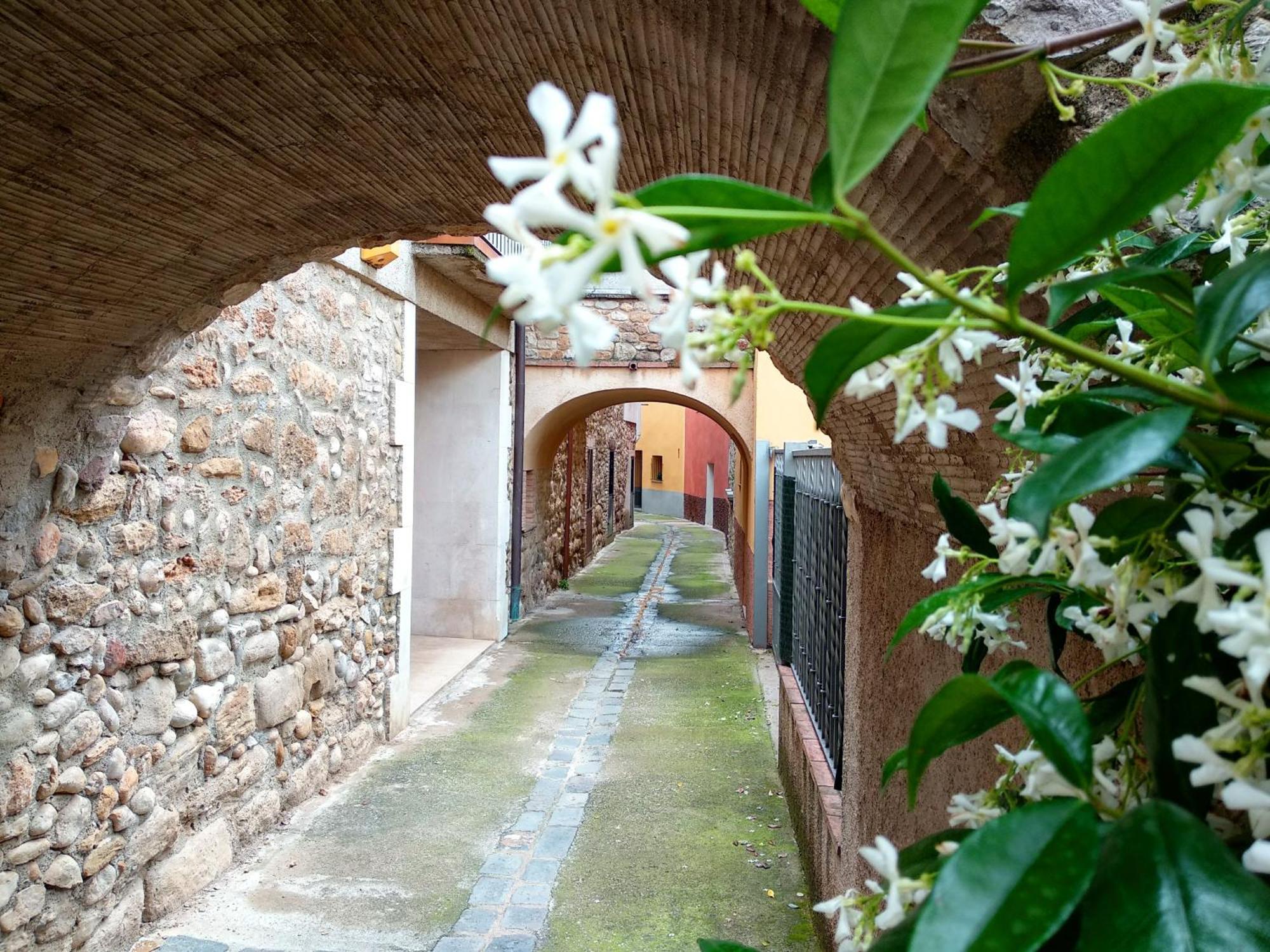 Can Girmas Casa De Turisme Rural Navata Luaran gambar